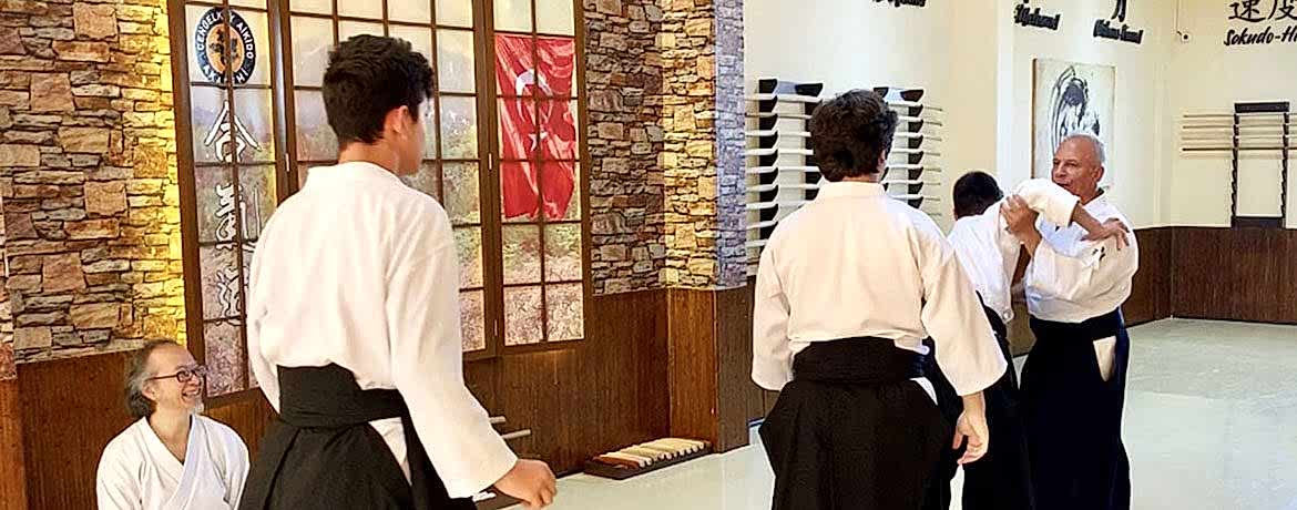 Genç Aikido Teknik