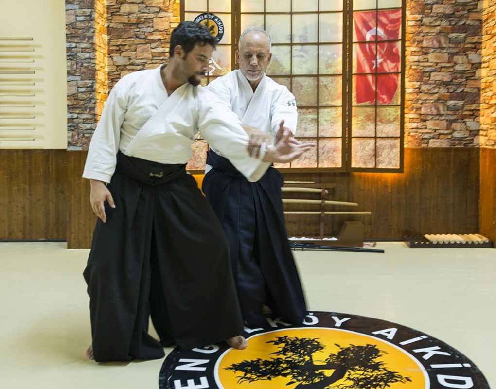 Sedat Ilgar Sensei