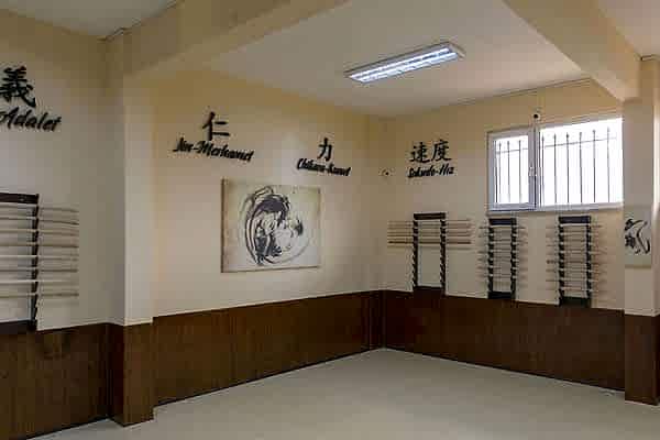 Tatami (Antreman Salonu)